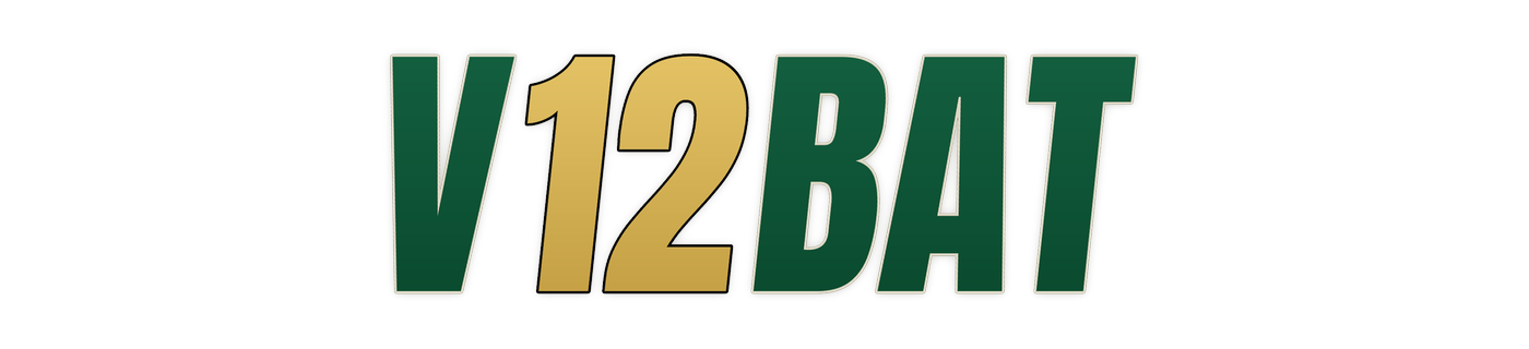v12bat logo